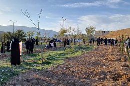 گزارش تصویری
