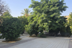 خوابگاه پسران
