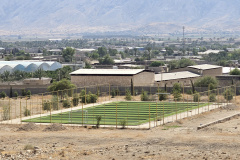 زمین چمن مصنوعی