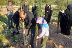 نهال‌کاری راهِ سرو