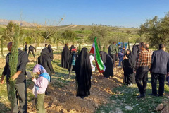 نهال‌کاری راهِ سرو