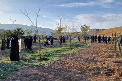 نهال‌کاری راهِ سرو