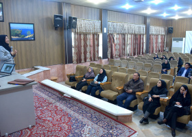 کارگاه تخصصی آشنایی با طرح بتا و کمک‌های اولیه روانشناختی برگزار شد